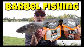 BARBEL FISHING FISKERTON RIVER TRENT  TACKLE RIGS AND BAIT [upl. by Maeve]