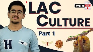 Lac Culture  Importance Species Of Lac Insects Morphology Life cycle Host Plants PART 1 [upl. by Carlina]