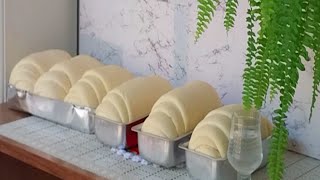 Pão Caseiro Receita Simples e Econômica  Saiba o Segredo para seus Pães Ficar Assim [upl. by Louie]