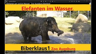 Elefanten am und im Wasser Zoo Augsburg Elepfand [upl. by Rednirah805]