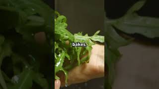 Quick amp Easy Arugula Tomato Pizza Recipe [upl. by Roye]