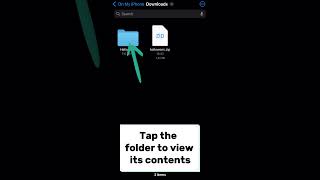 Open ZIP file on iPhone amp iPad [upl. by Jangro662]