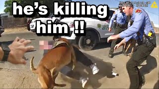 When Cops LOSE CONTROL Of Police Dogs [upl. by Roberts635]