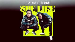 Darkoo x Blanco  She Like Official Audio [upl. by Eissac97]