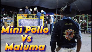 Mini Pollo De Acapulco VS Malúma En San Lorenzo Teotipilco [upl. by Prospero724]