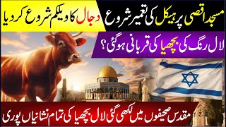 Construction Of Haikal E Sulemani On Masjid Aqsa Started  Dajjal Ka Welcome  Red Heifer Ki Qurbani [upl. by Nylrak760]