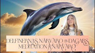 Delfinernas närvaro 21dagars meditation amp healing 🐬💖🌟 [upl. by Aihsele12]