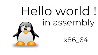 Hello world  in assembly  NASM x8664 [upl. by Enyawd]