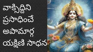 అపామార్గా యక్షిణి సాధన yakshini sadhana mantra sadhana telugu [upl. by Ordep]