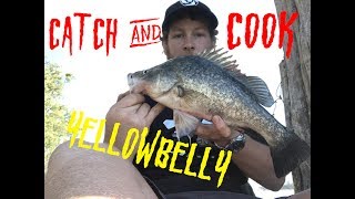 CATCH AND COOK  Yellowbelly caught on live worms EP 003 [upl. by Dehsar]