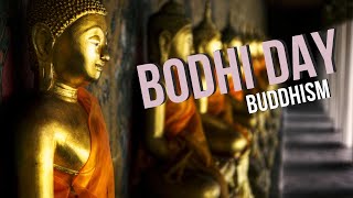 Bodhi Day [upl. by Silvan]