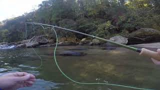 Fly fishing the beautiful Chattooga River [upl. by Odnalo739]