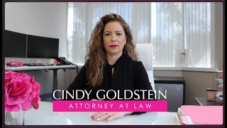 Getting to know Cindy Goldstein Did You Always Want to Be An Attorney [upl. by Uamak]