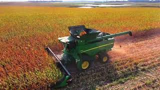 Early Corn Harvest [upl. by Sibelle]