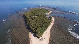 One afternoon in Aoshima Island [upl. by Eecyac]