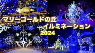 【マリーゴールドの丘イルミネーション2024】【埼玉県 本庄市】／4K／Hill illuminations of marigold [upl. by Liahkim]