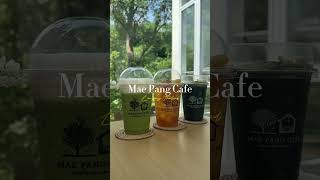 MaePang Cafe  Lampang ☘️💚 [upl. by Candis]