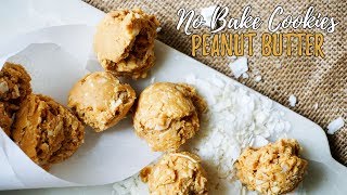 Low Carb Peanut Butter Cookies  No Bake [upl. by Elletsirk]