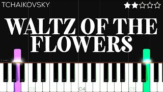 Tchaikovsky  Waltz of the Flowers  EASY Piano Tutorial [upl. by Aihsak]