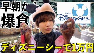 【朝から大食い】ディズニーシーにご飯だけ食べに行って好きなだけ爆食い！1人で1万円分食い切る！ [upl. by Rainer114]