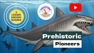 THREE LESSER KNOWN PREHISTORIC SHARKS [upl. by Evangelist128]