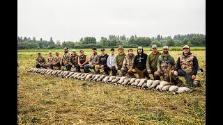 WA STATE EARLY GOOSE 15 MAN 75 BIRDS [upl. by Ekal]