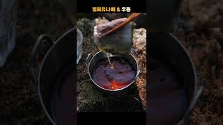 겹겹이 쌓여 있는 소고기 🥩🔥 찬바람 불때는 밀푀유나베 🍲🥬  캠핑한끼 소고기 밀푀유나베 우동 [upl. by Horowitz]