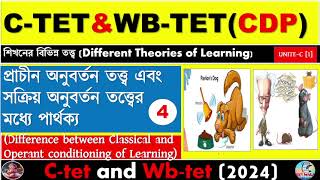 Different Between Classical And Operant Congratulations theoryLearning TheoryCtet And Wbtet [upl. by Ching]