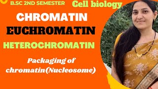 ChromatinEuchromatinHeterochromatinPackaging of ChromatinNucleosome ModelBSc 1st year [upl. by Ikkiv]