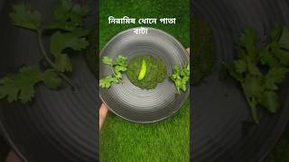 নিরামিষ ধোনে পাতা বাটা রেসিপি। ধনে পাতা বাটা। Dhone Pata Bata Recipe Bengali  Dhone pata Bata [upl. by Reid]