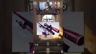 The Best CHEAP AWP Skins in CS2 😱 [upl. by Sirah957]