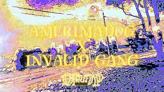 AMERIMADOG x INVALID GANG  Playlist TIK TOK MUSIC  ТИК ТОК МУЗЫКА [upl. by Yregram]