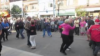 Kiss Me Girlie by Polka Family at Roncesvalles Polish Festival [upl. by Apollus]