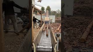 Day in the Sawmill woodworking [upl. by Cadmann]