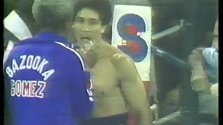 Wilfredo Gomez vs Carlos Zarate [upl. by Eerihs]