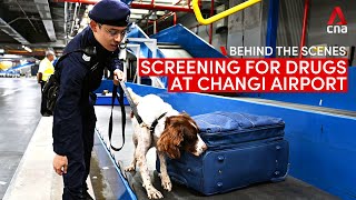 Screening for drugs at Changi Airport Behind the scenes [upl. by Sussi]