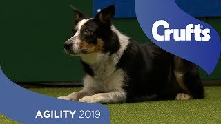 Agility Championship Round 1 – Jumping  Large  Crufts 2019 [upl. by Iphigenia]