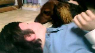 Funny weiner dog loves to give kisses [upl. by Nyltac]