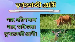 তৃণভোজী প্রাণী কাকে বলে  উদাহরণ সহ দেখ ।। Herbivore Animal ।। [upl. by Einnol854]