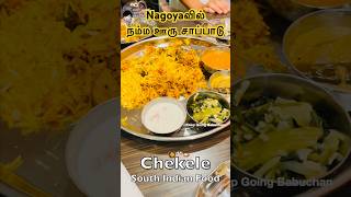 Chekele South Indian Food in Nagoya Japan [upl. by Annad]