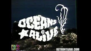 Oceans Alive intro 1977 [upl. by Eglantine201]