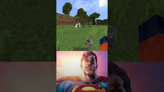 Theres a star man 🤩 minecraft [upl. by Olia]