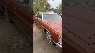 Survivor Barn Find 1973 Ford LTD barnfind ford survivor classiccars [upl. by Akeret]