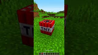 Minecraft TNT vs 4096 Mini TNT😱 もういいよ minecraft shorts [upl. by Swerdna]