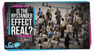 Is the Bystander Effect Real [upl. by Gerladina444]