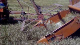 Allis Chalmers 40 combine at Hutchinson [upl. by Fairleigh888]