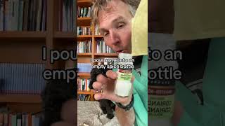 Simple veterinary hack for Natural Flea Control [upl. by Enohs]