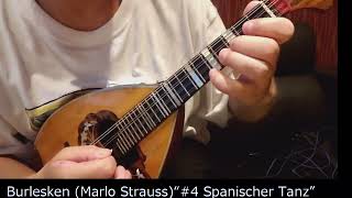 【Mandolin】Burlesken Marlo Strauss “4 Spanischer Tanz” [upl. by Nahtannoj]