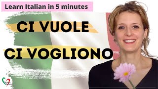 Learn Italian in 5 minutes Ci vuole e ci vogliono [upl. by Germin]