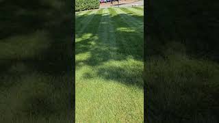 Crispy stripes walkermowers grass clean lines [upl. by Armillia]